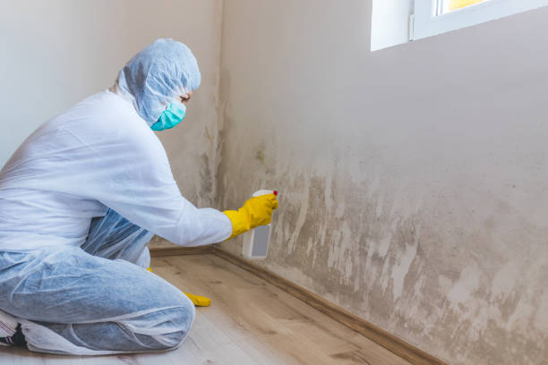 Mold Remediation specialist working in Yeagertown
